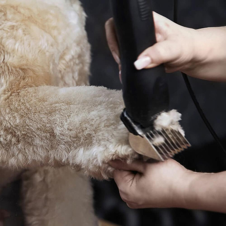 Moser Max50 Animal Clipper