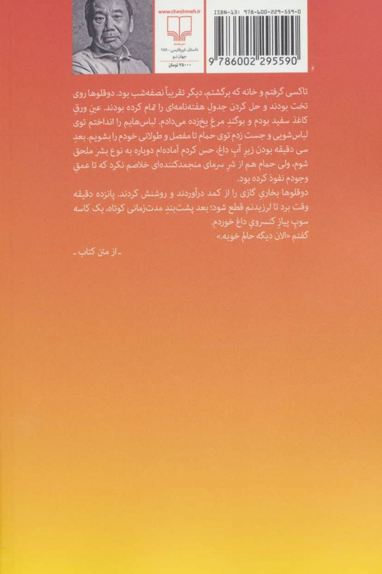 کتاب پین بال، 1973